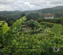 Terrenos Castelo de Paiva - Fotos para Castelo-de-paiva-Quinta em Bairros Castelo de Paiva (SD 02031)